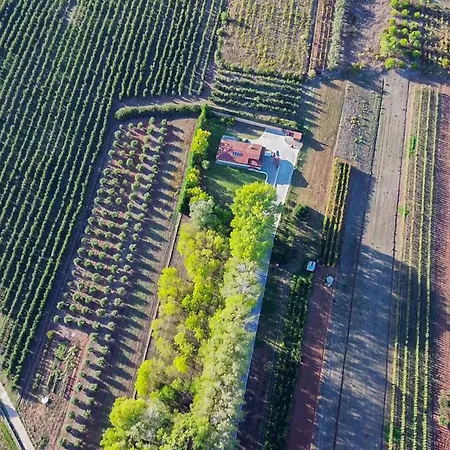 Refugio Da Perdiz - Nature's Luxury Retreat Tatil Evi *