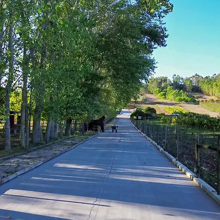 Tatil Evi Refugio Da Perdiz - Nature's Luxury Retreat