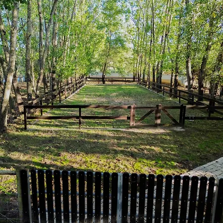 Refugio Da Perdiz - Nature's Luxury Retreat Tatil Evi Juncal (Leiria)