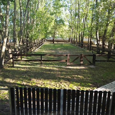 Refugio Da Perdiz - Nature's Luxury Retreat Juncal (Leiria)