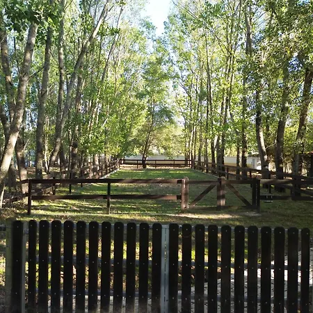 Tatil Evi Refugio Da Perdiz - Nature's Luxury Retreat *