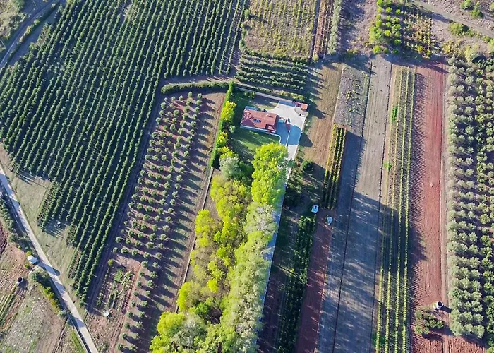 Refugio Da Perdiz - Nature's Luxury Retreat Hébergement de vacances *