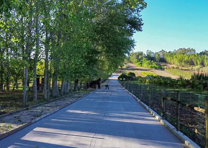 Hébergement de vacances Refugio Da Perdiz - Nature's Luxury Retreat