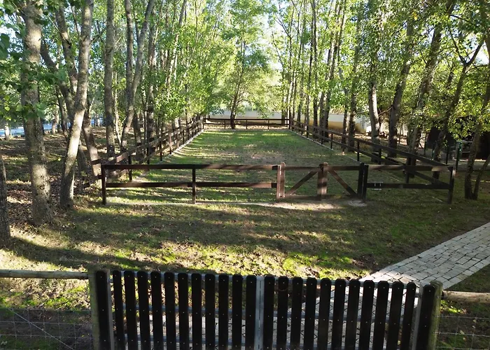 Refugio Da Perdiz - Nature's Luxury Retreat Juncal (Leiria)